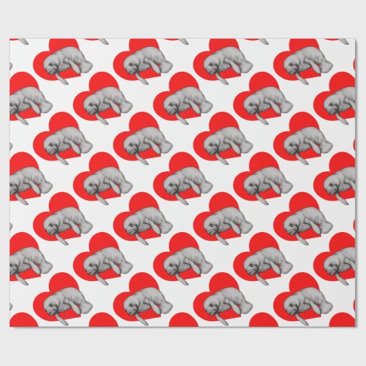 kunstkunst cadeaupapier (Vlak)