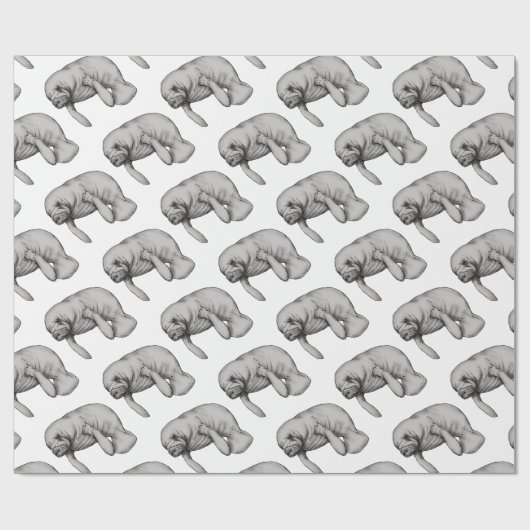 kunstkunst cadeaupapier (Vlak)