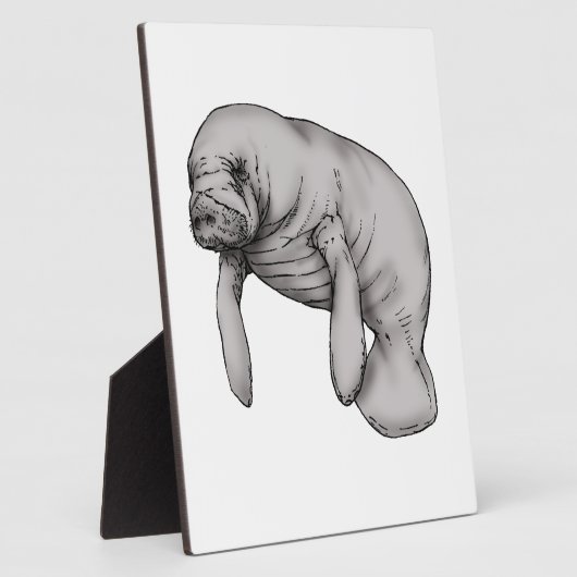 kunstkunst fotoplaat (Zijkant)