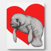 kunstkunst fotoplaat (Voorkant)