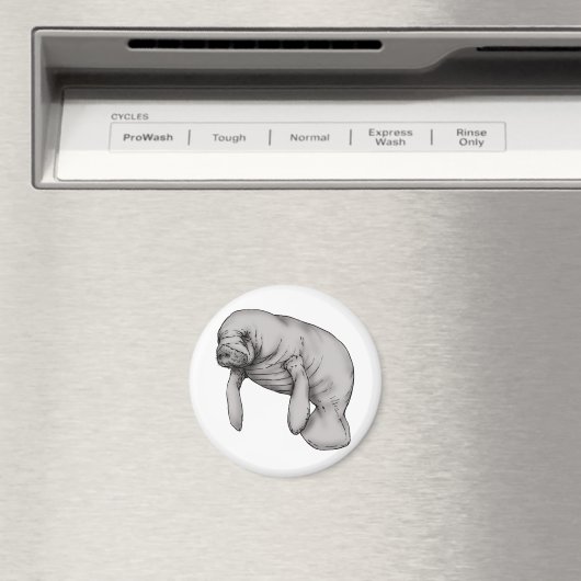 kunstkunst magneet (Insitu (Vaatwasser))