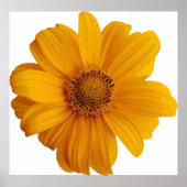 Kunstkunst met annotatie poster (Voorkant)