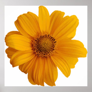 Kunstkunst met annotatie poster