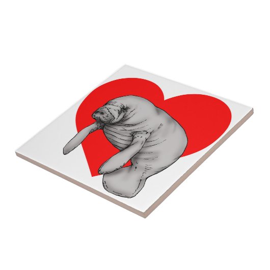 kunstkunst tegeltje (Zijkant)