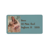 Kunstlabel Siamese Kitten Pink Collar Waterverf Etiket (Voorkant)