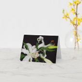 KunstLily Collectie-Wenskaarten Kaart (Gele Bloem)