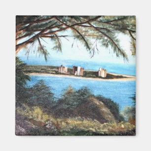 kunstmagneten magneet