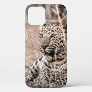 Kunstmatig afbeelding van Huge wilde mannelijke lu Case-Mate iPhone Case