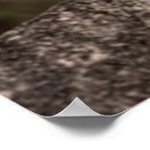 Kunstmatig afbeelding van mannelijke luipaard of p poster (Hoek)