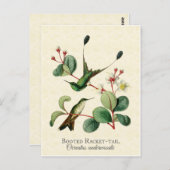 Kunstmatig Briefkaart voor gevlekte reukvogels (Voorkant / Achterkant)