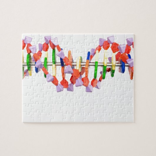 Kunstmatig DNA-model Legpuzzel (Horizontaal)