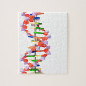 Kunstmatig DNA-model Legpuzzel (Verticaal)