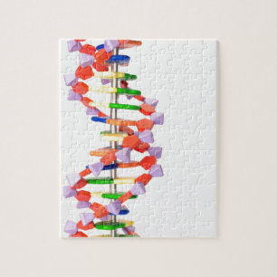 Kunstmatig DNA-model Legpuzzel
