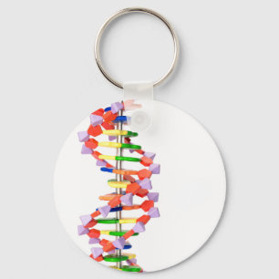 Kunstmatig DNA-model Sleutelhanger