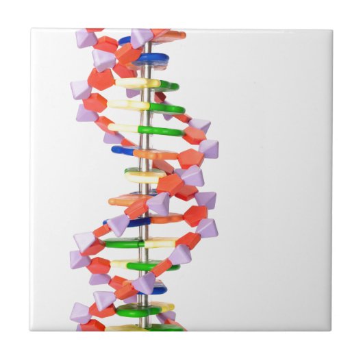 Kunstmatig DNA-model Tegeltje (Voorkant)