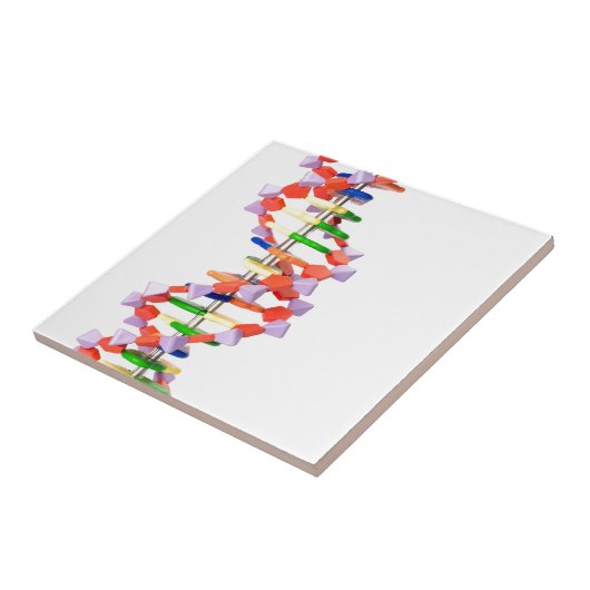 Kunstmatig DNA-model Tegeltje (Zijkant)