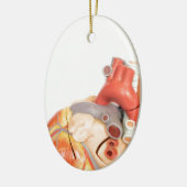 Kunstmatig model van een uitzicht aan de hartzijde keramisch ornament (Links)