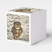 Kunstmatig portret van Small Brown Barn Owl Bedankdoosjes (Voorkant Zijde)