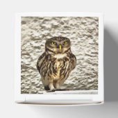 Kunstmatig portret van Small Brown Barn Owl Bedankdoosjes (Bovenkant)