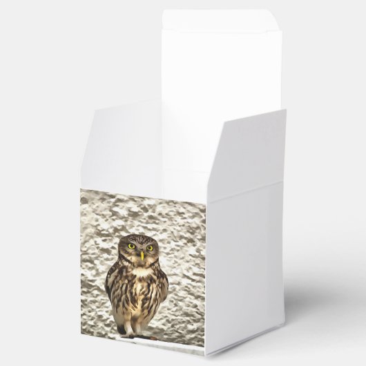Kunstmatig portret van Small Brown Barn Owl Bedankdoosjes (Geopend)
