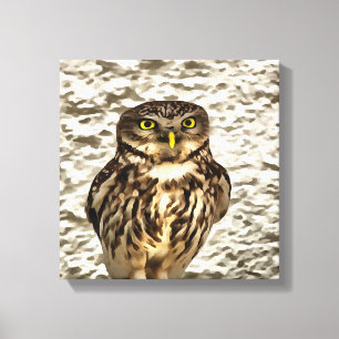 Kunstmatig portret van Small Brown Barn Owl Canvas Afdruk