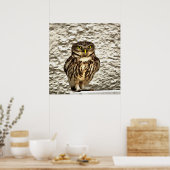 Kunstmatig portret van Small Brown Barn Owl Poster (Keuken)