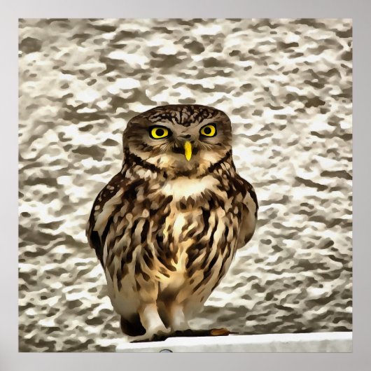 Kunstmatig portret van Small Brown Barn Owl Poster (Voorkant)