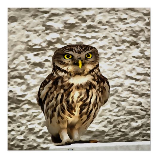 Kunstmatig portret van Small Brown Barn Owl Poster (Voorkant)