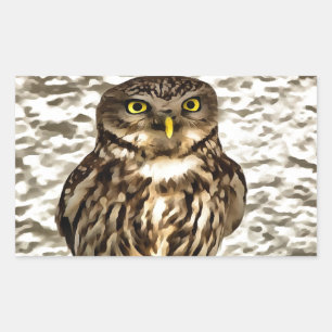 Kunstmatig portret van Small Brown Barn Owl Rechthoekige Sticker