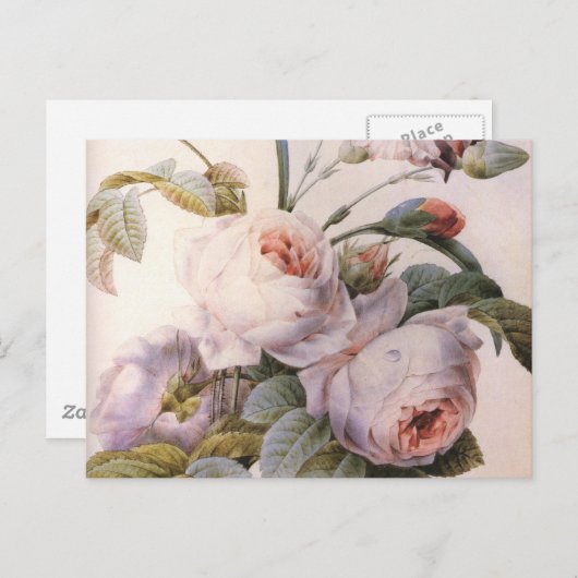  kunstmatig Roos Briefkaart voor anjerventilator (Voorkant / Achterkant)