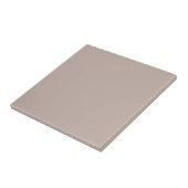 Kunstmatig Taupe Square Kitchen en Bathroom Tegeltje (Zijkant)