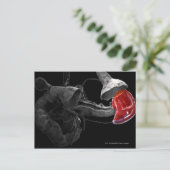 Kunstmatige 3d rendering van de milt briefkaart (Staand voorkant)