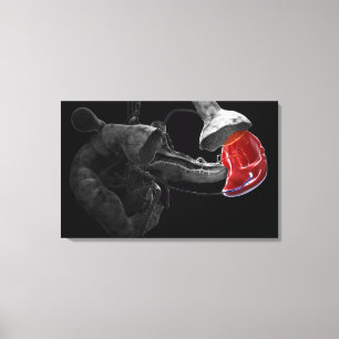 Kunstmatige 3d rendering van de milt canvas afdruk