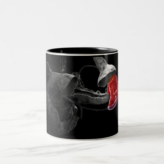 Kunstmatige 3d rendering van de milt tweekleurige koffiemok (Center)