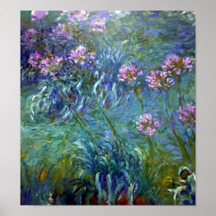 Kunstmatige Agapanthus Fine Art Flowers Poster
