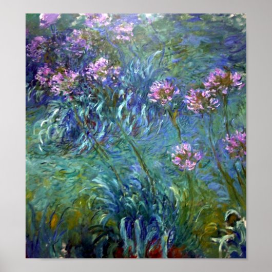 Kunstmatige Agapanthus Fine Art Flowers Poster (Voorkant)