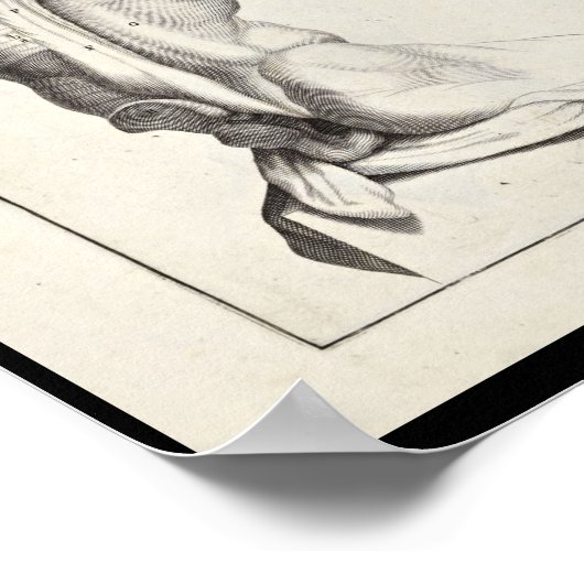 Kunstmatige anatomie Rugspieren Kunst Afdrukken Poster (Hoek)