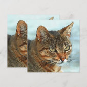 Kunstmatige Cartoon Stijl tabby Cat RB Feestdagenkaart (Voorkant / Achterkant)