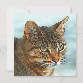 Kunstmatige Cartoon Stijl tabby Cat RB Feestdagenkaart (Achterkant)