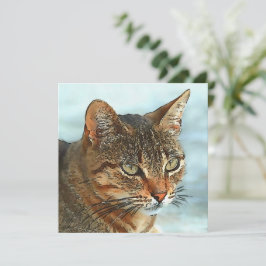 Kunstmatige Cartoon Stijl tabby Cat RB Feestdagenkaart