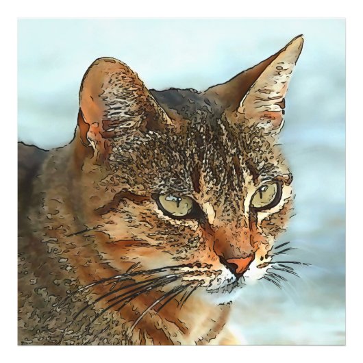 Kunstmatige Cartoon Stijl tabby Cat RB Foto Afdruk (Voorkant)