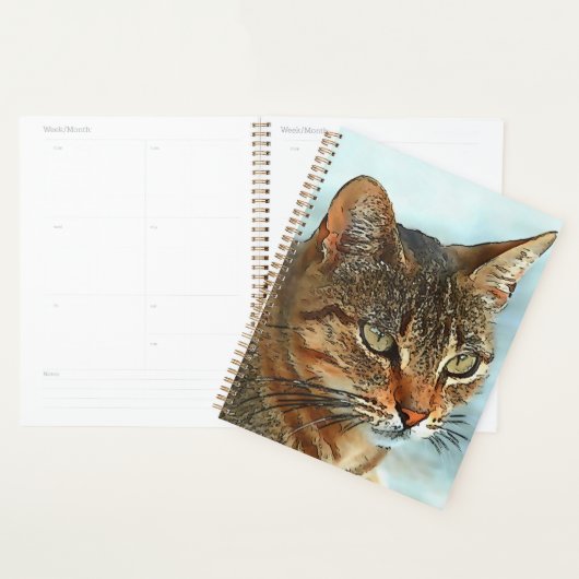 Kunstmatige Cartoon Stijl tabby Cat RB Planner (Display)