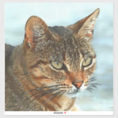 Kunstmatige Cartoon Stijl tabby Cat RB Sticker (Vel)