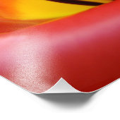 Kunstmatige fotografie print Rode Tulp-ventilator Foto Afdruk (Hoek)
