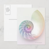 Kunstmatige gekleurde nautilus afbeelding briefkaart (Voorkant / Achterkant)