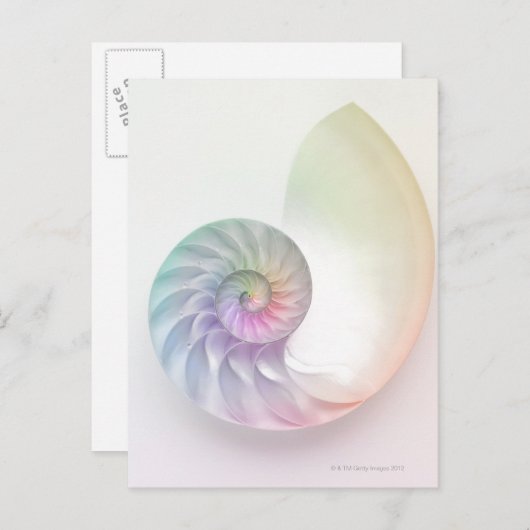 Kunstmatige gekleurde nautilus afbeelding briefkaart (Voorkant / Achterkant)