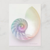 Kunstmatige gekleurde nautilus afbeelding briefkaart (Voorkant)