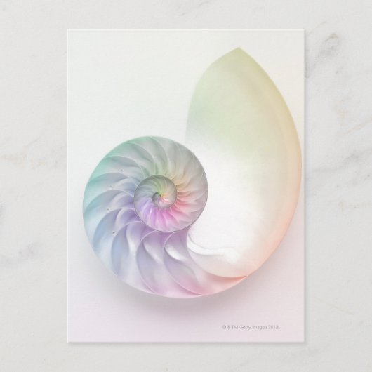 Kunstmatige gekleurde nautilus afbeelding briefkaart (Voorkant)