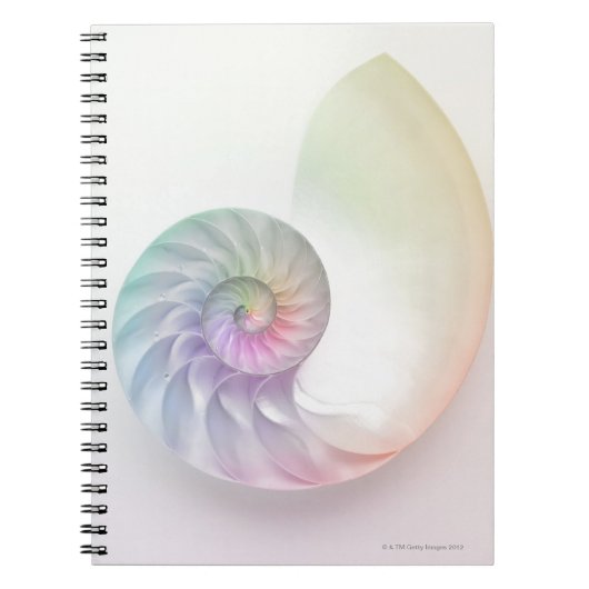 Kunstmatige gekleurde nautilus afbeelding notitieboek (Voorkant)