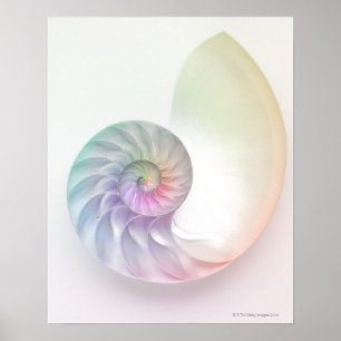 Kunstmatige gekleurde nautilus afbeelding poster